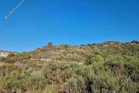 3679 SQM Land in Dora (Limassol) for sale 