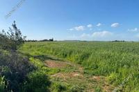 11016 SQM Land in Xylotymvou (Larnaca) for sale 