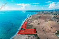 8362 SQM Land in Mazotos (Larnaca) for sale 
