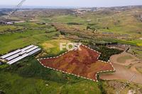 18785 SQM Land in Agia Varvara (Paphos) for sale 