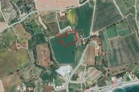 7135 SQM Land · Agios Theodoros Larnacas (Larnaca) for sale 