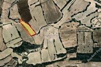 7693 SQM Land · Agios Theodoros Larnacas (Larnaca) for sale 