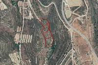13046 SQM Land in Vouni (Limassol) for sale 