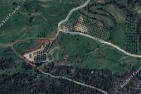 7358 SQM Land in Nata (Paphos) for sale 