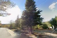 1583 SQM Plot in Trimiklini (Limassol) for sale 