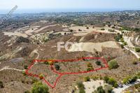 6820 SQM Land · Armou (Paphos) for sale 