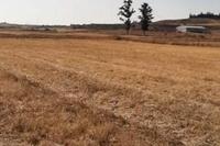 2007 SQM Land · Palaiometocho (Nicosia) for sale 