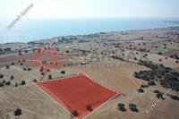 7024 SQM Land in Agios Theodoros Larnacas (Larnaca) for sale 
