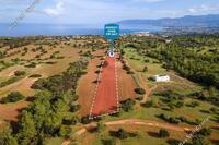 11037 SQM Land in Neo Chorio (Paphos) for sale 
