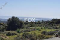 15051 SQM Land in Souni Zanakia (Limassol) for sale 