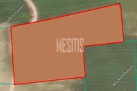 5500 SQM Land · Geri (Nicosia) for sale 