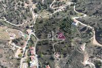 737 SQM Land in Kakopetria (Nicosia) for sale 