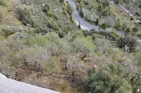 2223 SQM Land in Pedoulas (Nicosia) for sale 