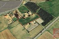 7024 SQM Land in Tersefanou (Larnaca) for sale 
