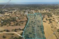 39604 SQM Land · Souni Zanakia (Limassol) for sale 