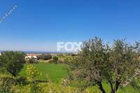 2700 SQM Land in Anarita (Paphos) for sale 