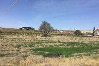 6021 SQM Plot · Analiontas (Nicosia) for sale 