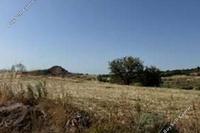 16723 SQM Land in Lasa (Paphos) for sale 
