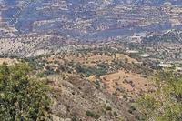 15720 SQM Land · Statos Agios Fotios (Paphos) for sale 