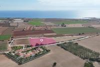 5790 SQM Plot in Anafotida (Larnaca) for sale 
