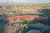 9365 SQM Land · Nikitari (Nicosia) for sale 