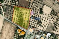 8630 SQM Land · Athienou (Larnaca) for sale 