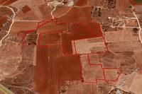 57308 SQM Land in Liopetri (Famagusta) for sale 
