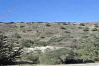 152274 SQM Land in Monagroulli (Limassol) for sale 