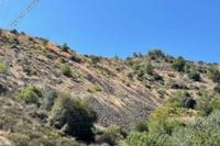 17114 SQM Land in Farmakas (Nicosia) for sale 