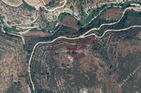 7359 SQM Land in Pano Kivides (Limassol) for sale 