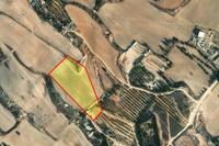 8306 SQM Land · Tersefanou (Larnaca) for sale 