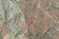 8362 SQM Land · Pentalia (Paphos) for sale 