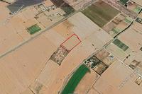 8362 SQM Land in Softades (Larnaca) for sale 