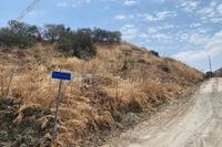 1800 SQM Land · Armou (Paphos) for sale 