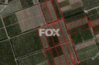 169227 SQM Land in Akrotiri (Limassol) for sale 
