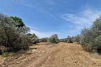 4488 SQM Land · Kornos (Larnaca) for sale 