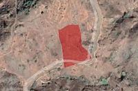 4513 SQM Land in Pigenia (Nicosia) for sale 