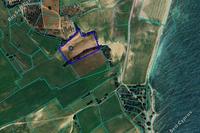 10368 SQM Land · Mazotos (Larnaca) for sale 
