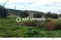 654 SQM Plot in Mazotos (Larnaca) for sale 