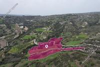 22410 SQM Land · Psathi (Paphos) for sale 