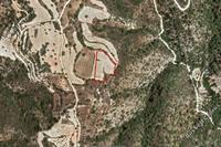 5352 SQM Land · Amargeti (Paphos) for sale 