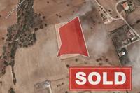 7024 SQM Land in Agios Theodoros Larnacas (Larnaca) for sale 