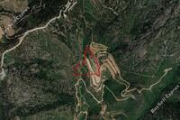 21740 SQM Land in Agioi Vavatsinias (Larnaca) for sale 