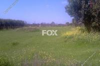 12762 SQM Land in Ypsonas (Limassol) for sale 