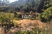 2342 SQM Land in Kyperounta (Limassol) for sale 