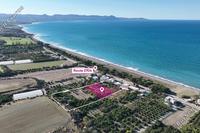 11037 SQM Plot in Argaka (Paphos) for sale 