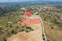 9709 SQM Land in Pachna (Limassol) for sale 