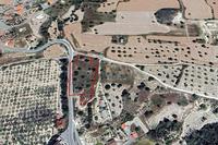 4250 SQM Land in Alethriko (Larnaca) for sale 