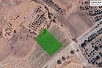 2506 SQM Land in Amargeti (Paphos) for sale 