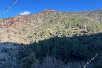15599 SQM Land in Farmakas (Nicosia) for sale 